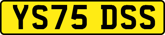 YS75DSS
