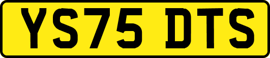 YS75DTS