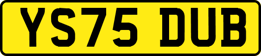 YS75DUB