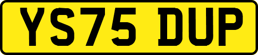 YS75DUP
