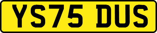 YS75DUS