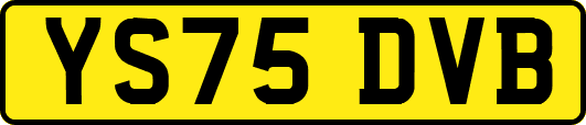 YS75DVB