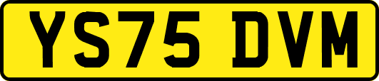 YS75DVM