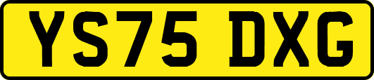 YS75DXG