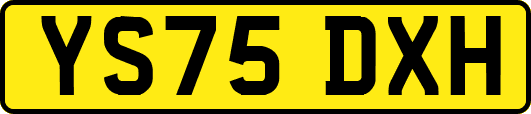 YS75DXH