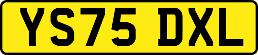 YS75DXL