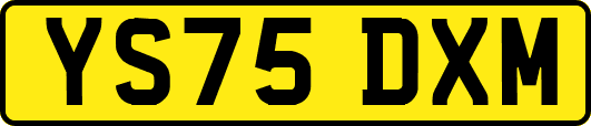 YS75DXM
