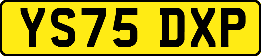 YS75DXP