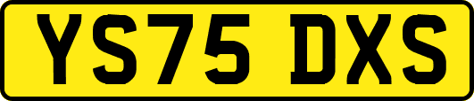 YS75DXS