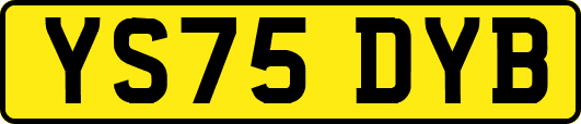 YS75DYB