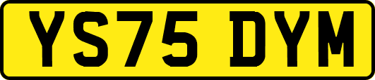 YS75DYM