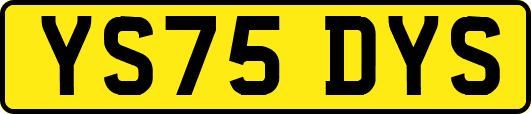 YS75DYS