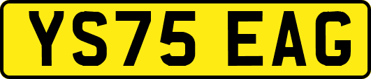 YS75EAG