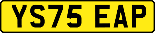 YS75EAP