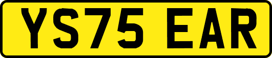 YS75EAR