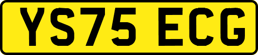 YS75ECG