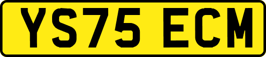 YS75ECM