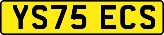YS75ECS