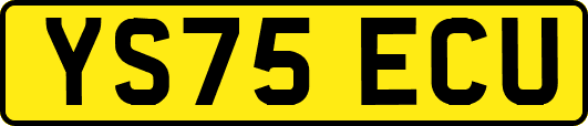YS75ECU