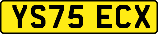 YS75ECX