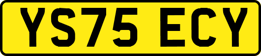 YS75ECY