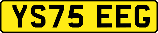 YS75EEG