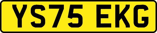 YS75EKG