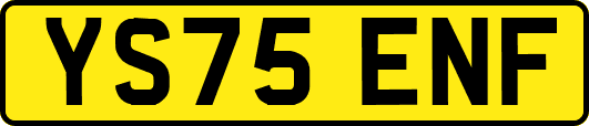 YS75ENF