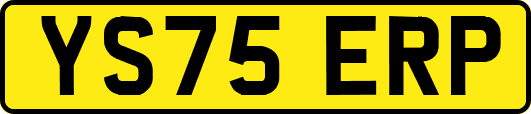 YS75ERP