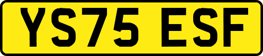 YS75ESF