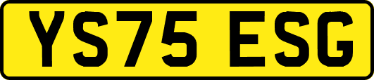 YS75ESG