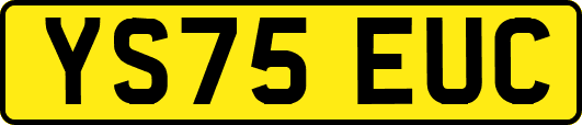 YS75EUC