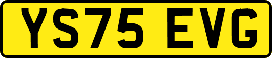 YS75EVG