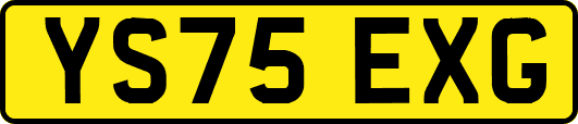 YS75EXG