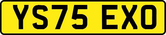 YS75EXO