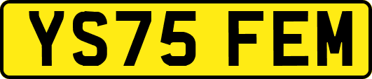 YS75FEM