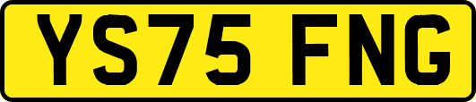 YS75FNG