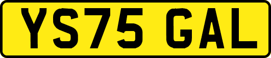 YS75GAL