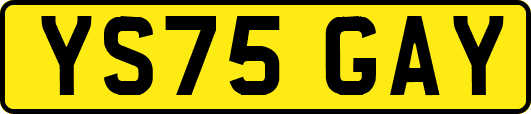 YS75GAY