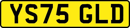 YS75GLD