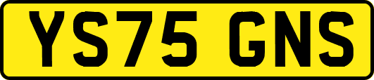 YS75GNS