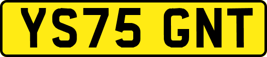 YS75GNT