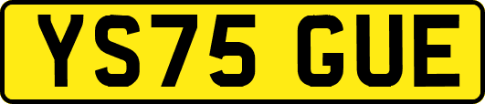 YS75GUE