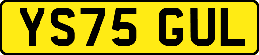 YS75GUL