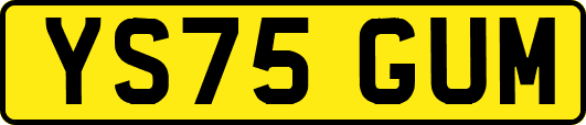 YS75GUM
