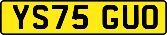 YS75GUO