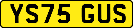 YS75GUS