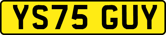 YS75GUY