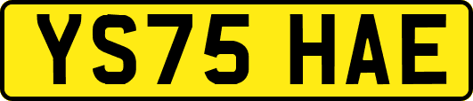 YS75HAE