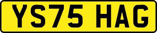 YS75HAG